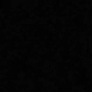 Meet your Posher, Shauna